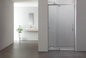 6mm Tempered Glass Pivot Shower Door – Stainless Steel Hinge, 100mm Adjustable  UD-2P
